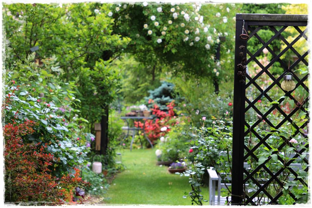 Ogród przy szeregówce 7