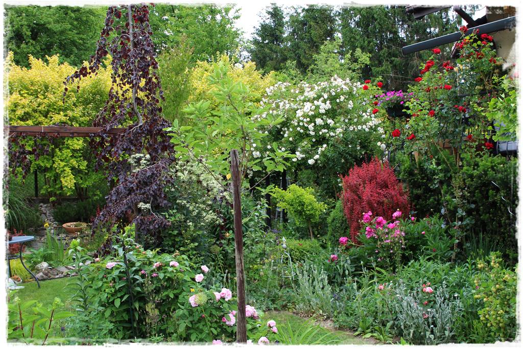 Ogród przy szeregówce 8