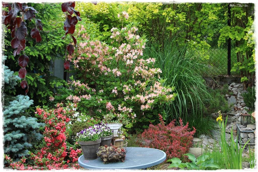 Ogród przy szeregówce 9