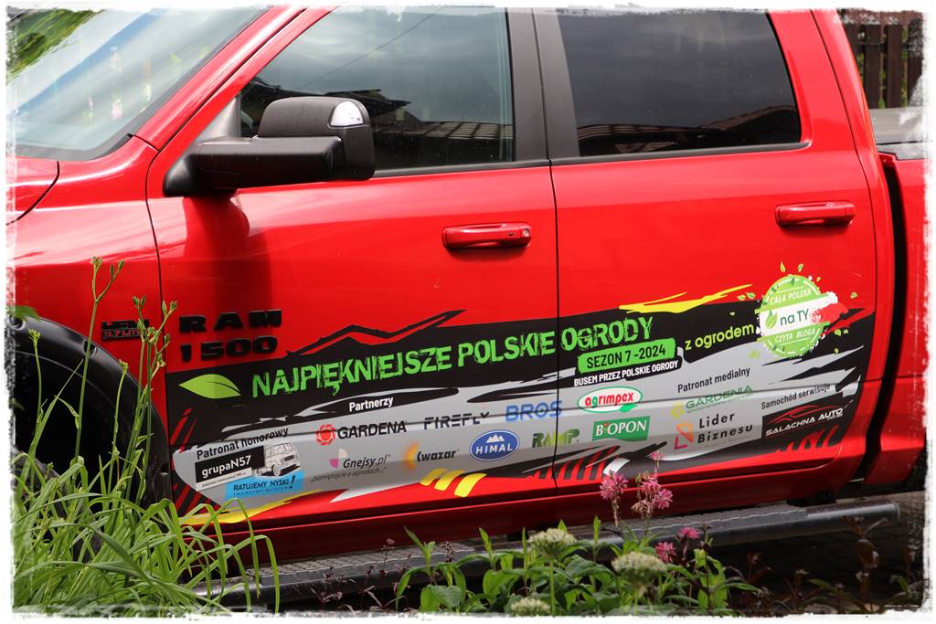 Ogród przy szeregówce 99