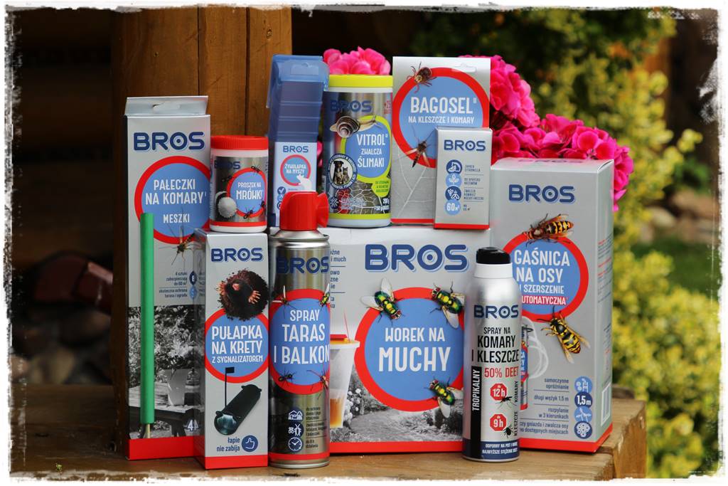 Ogród w stylu góralskim 101