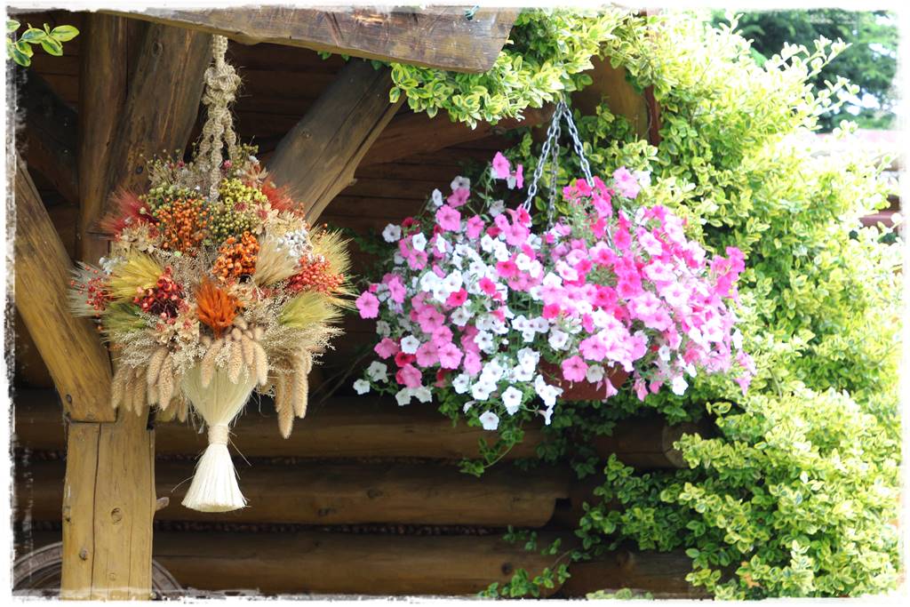 Ogród w stylu góralskim 31 Ogród w stylu góralskim 31