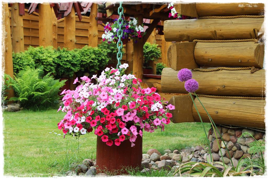 Ogród w stylu góralskim 34 Ogród w stylu góralskim 34