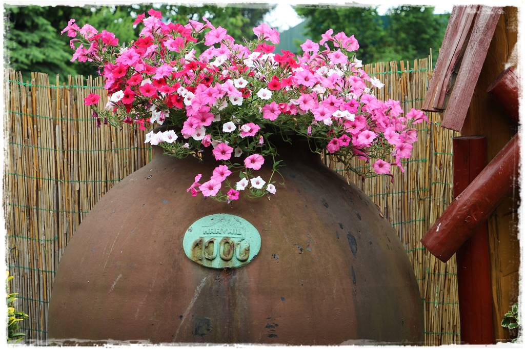 Ogród w stylu góralskim 36 Ogród w stylu góralskim 36