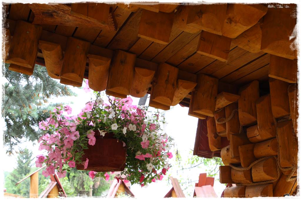 Ogród w stylu góralskim 50 Ogród w stylu góralskim 50