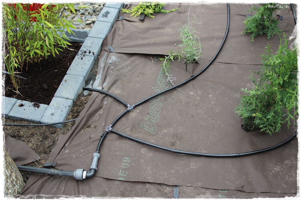 Podlewanie w upalne dni 18