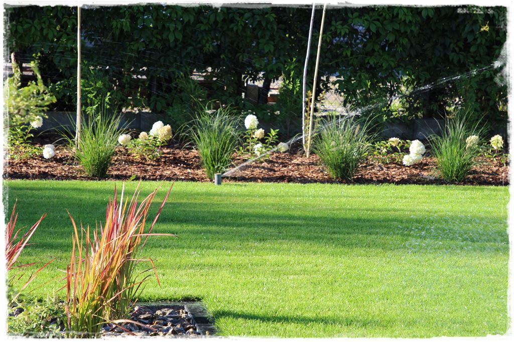 Podlewanie w upalne dni 23