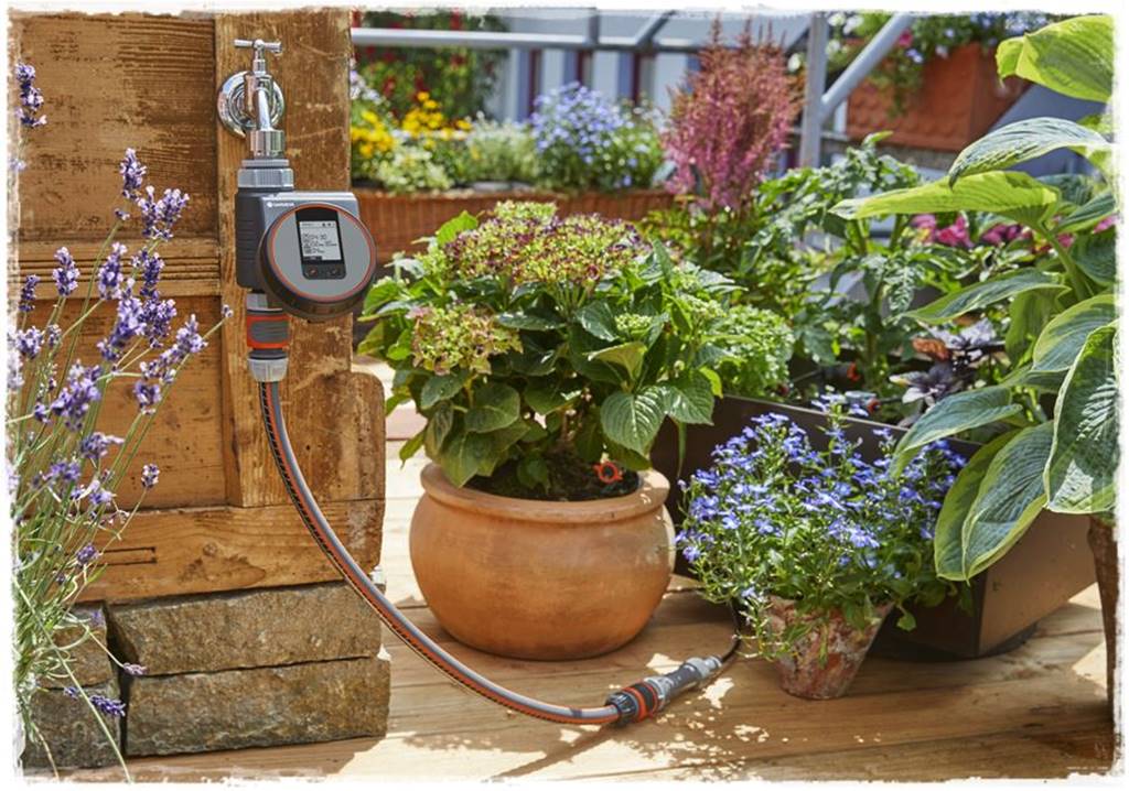 Podlewanie w upalne dni 23a