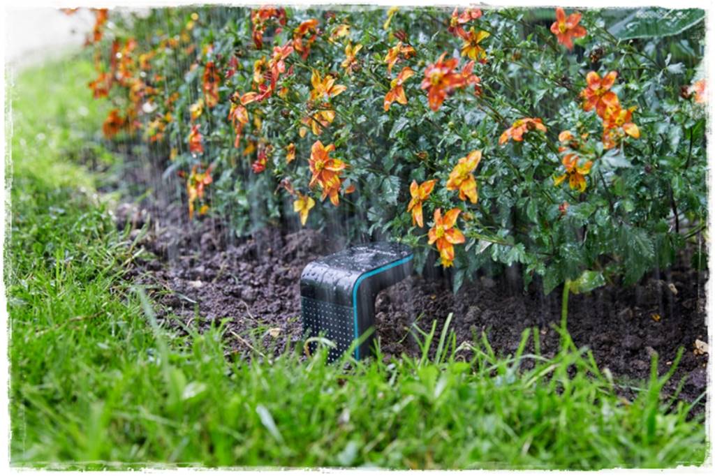 Podlewanie w upalne dni 27