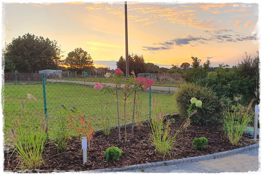 Podlewanie w upalne dni 9