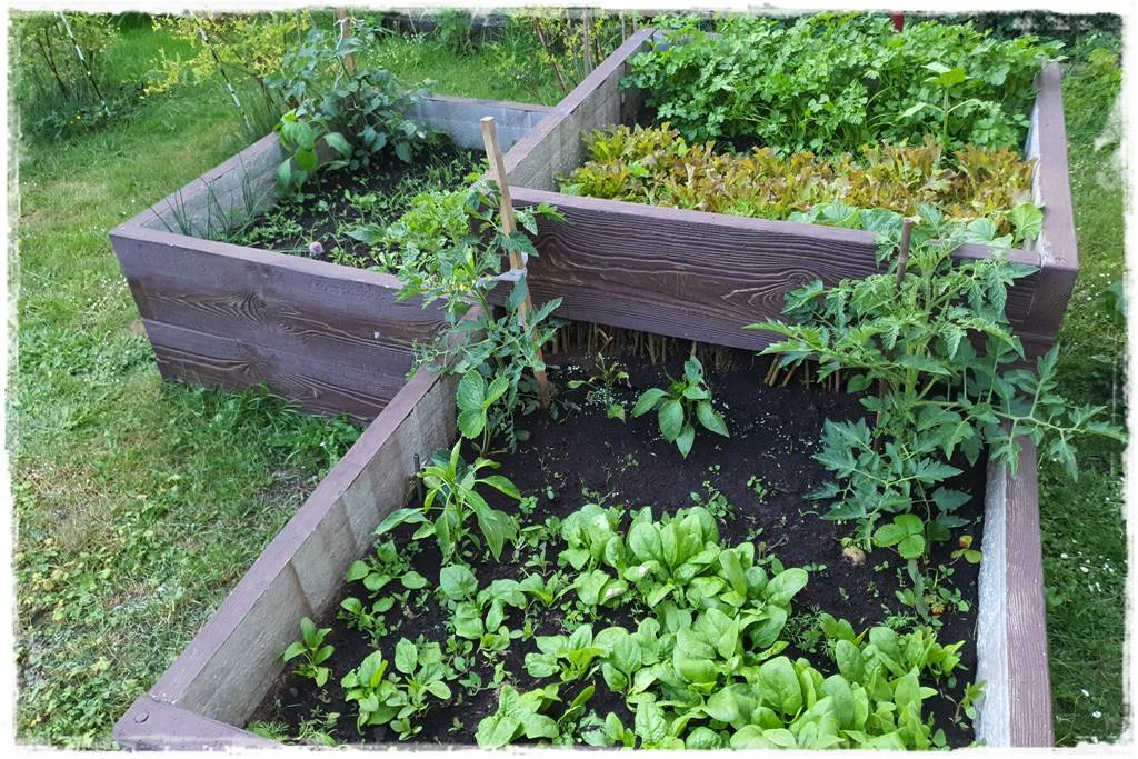 Podwyższone grządki betonowe 28