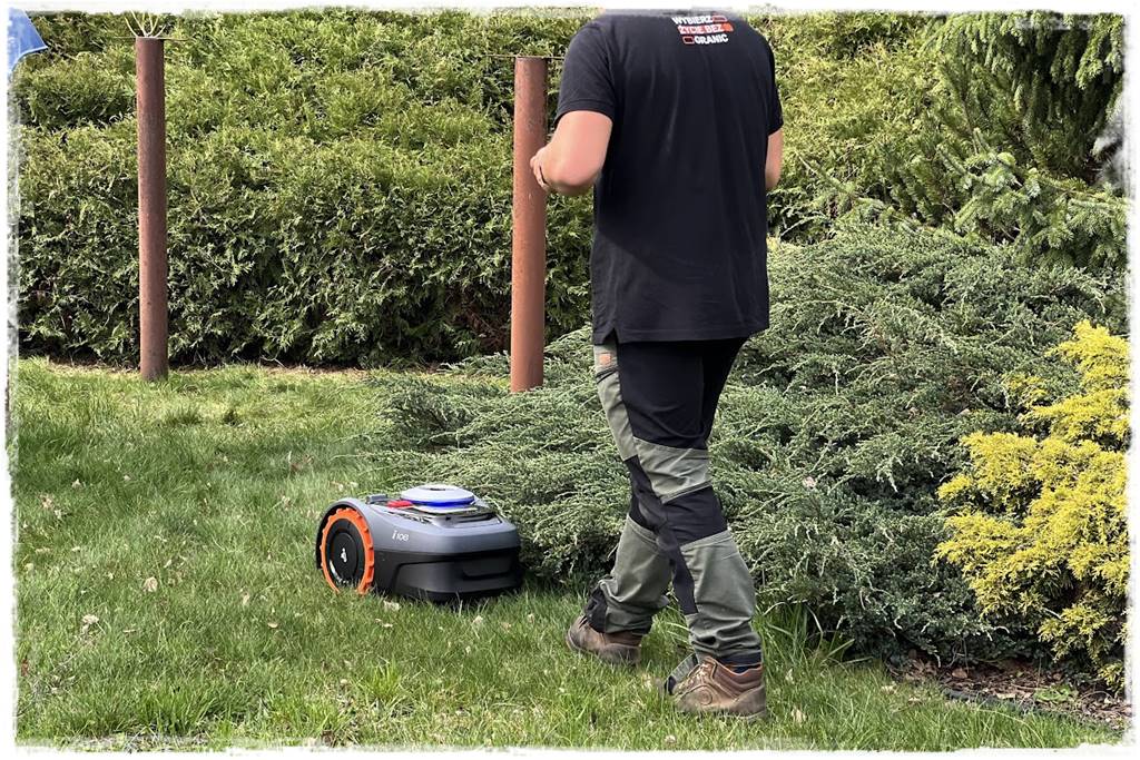 Robot koszący czy kosiarka 31 Robot koszący czy kosiarka 31