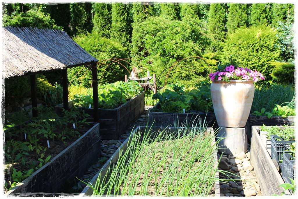 naturalny środek grzybobójczy 10