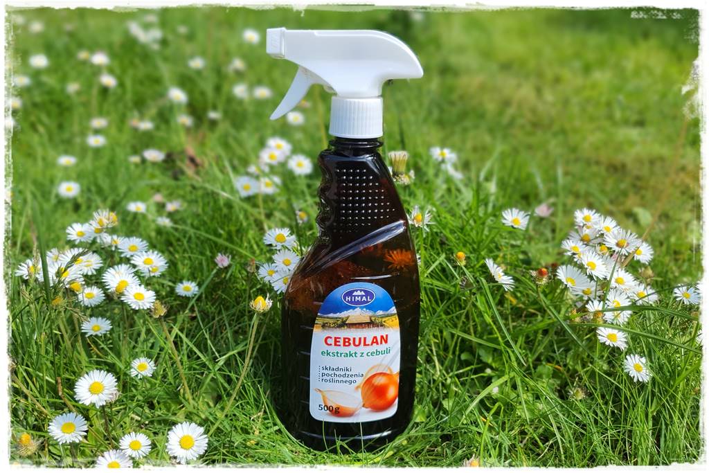 naturalny środek grzybobójczy 13