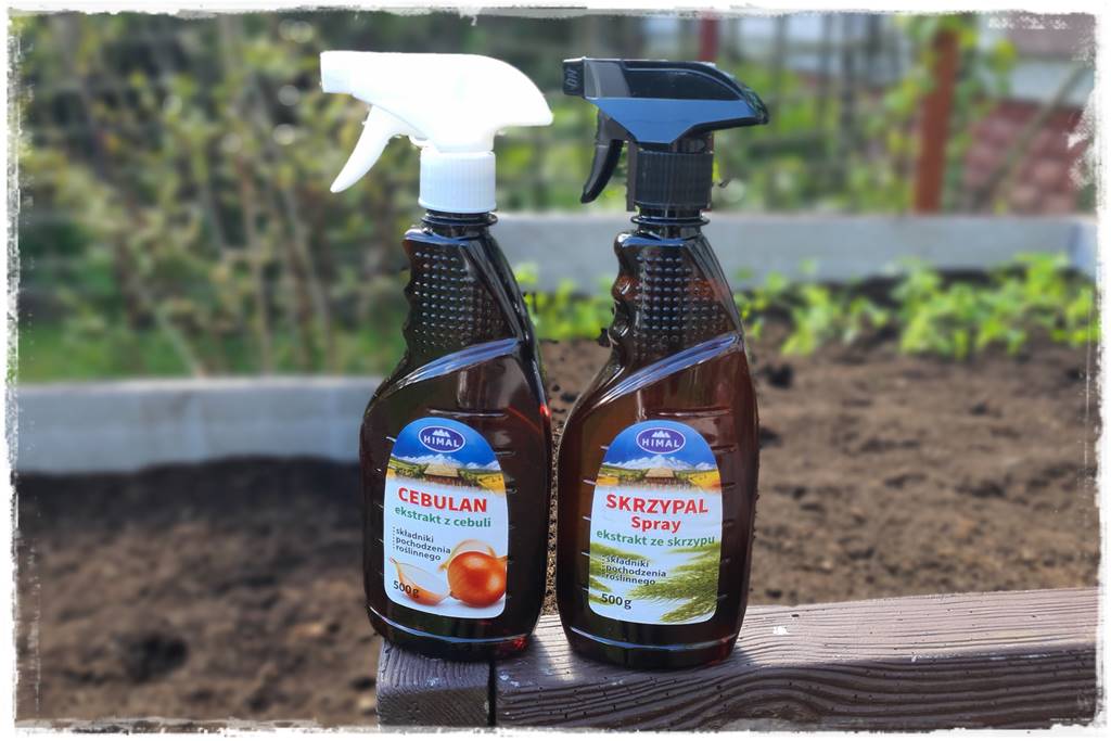 naturalny środek grzybobójczy 30