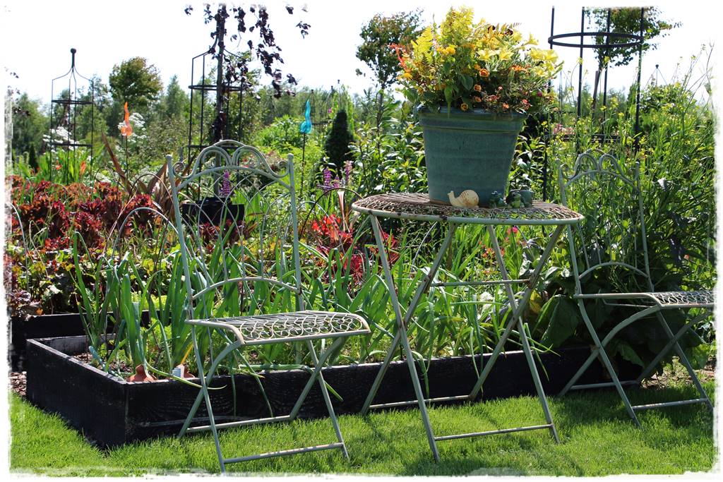 naturalny środek grzybobójczy 7