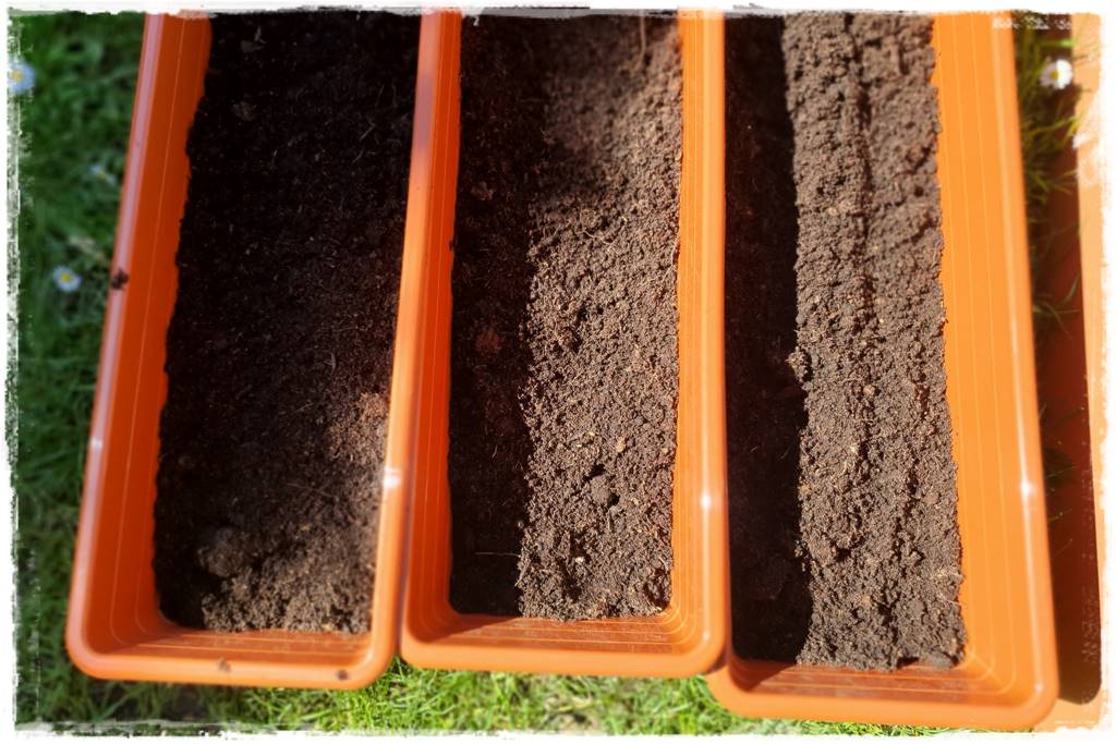 nawóz do pelargonii 14