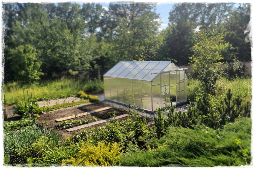 stałe zadaszenie tarasu 23