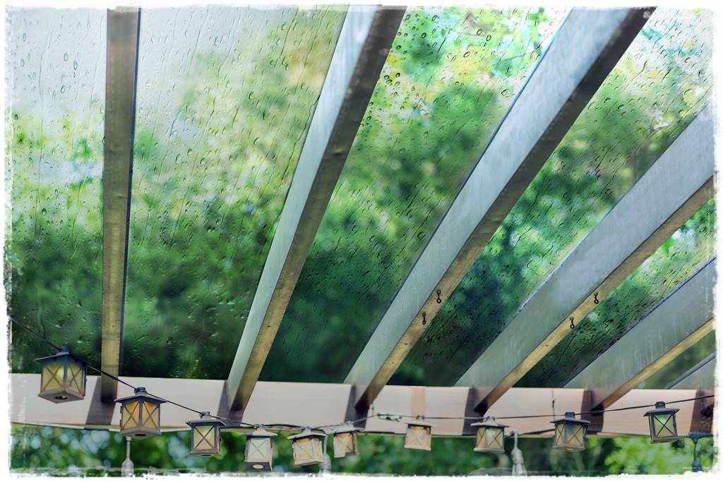 Closeup,Looking,Up,On,Patio,Outdoor,Spring,White,Flower,Garden