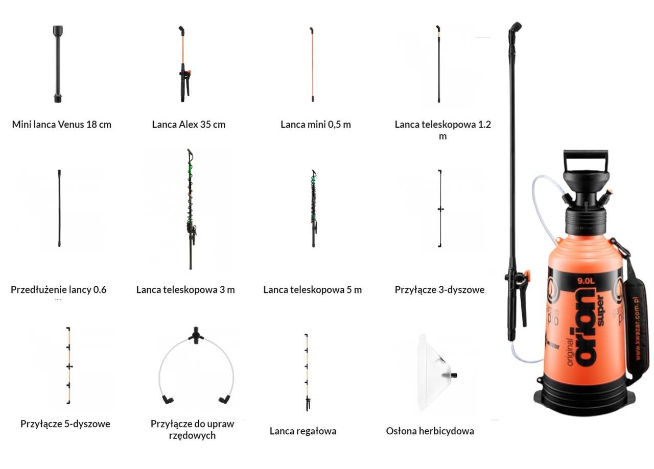 Choroby róż 50 Choroby róż 50