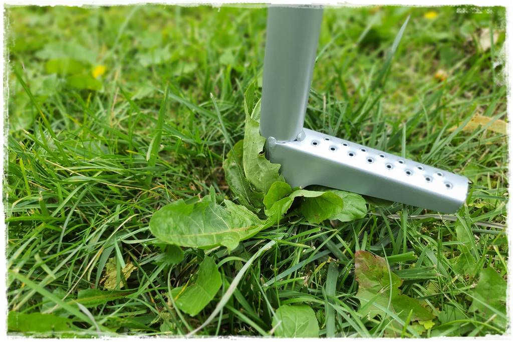 Jak pozbyć się mleczy z trawnika 44