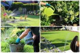 Jak zaoszczędzić na podlewaniu 0a