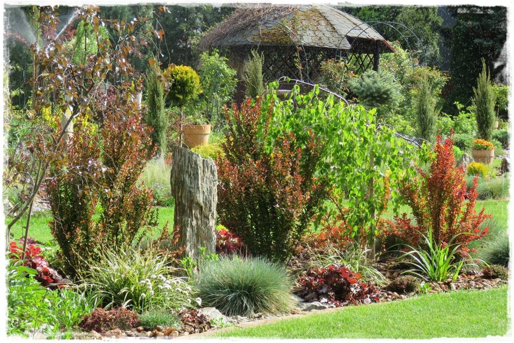 Jak zapobiec suszy 10 Jak zapobiec suszy 10