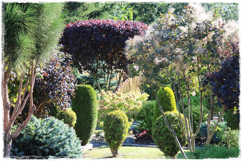 Jak zapobiec suszy 11 Jak zapobiec suszy 11