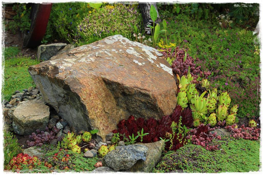 Jak zapobiec suszy 12 Jak zapobiec suszy 12