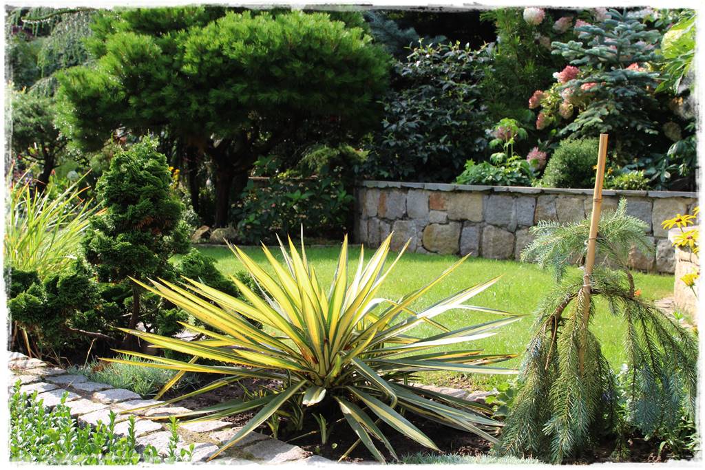 Jak zapobiec suszy 13 Jak zapobiec suszy 13