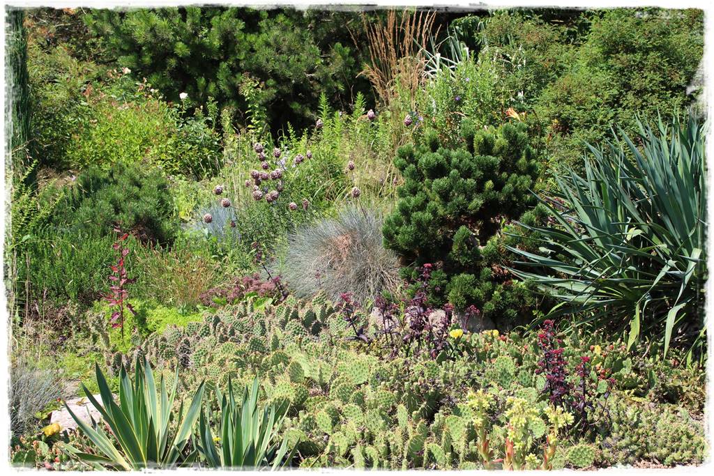 Jak zapobiec suszy 14 Jak zapobiec suszy 14