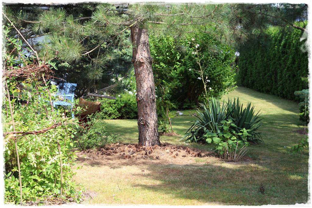 Jak zapobiec suszy 18 Jak zapobiec suszy 18