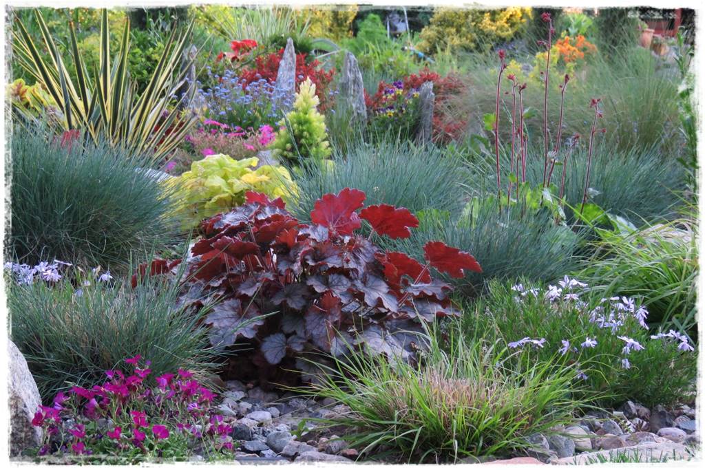 Jak zapobiec suszy 23 Jak zapobiec suszy 23