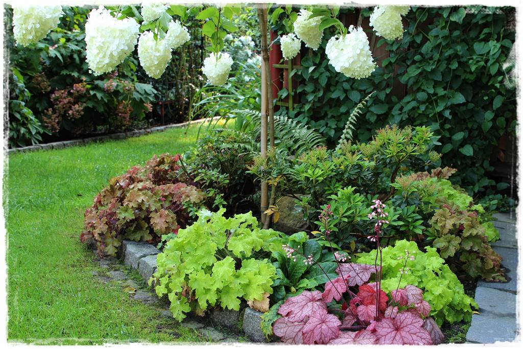 Jak zapobiec suszy 25 Jak zapobiec suszy 25