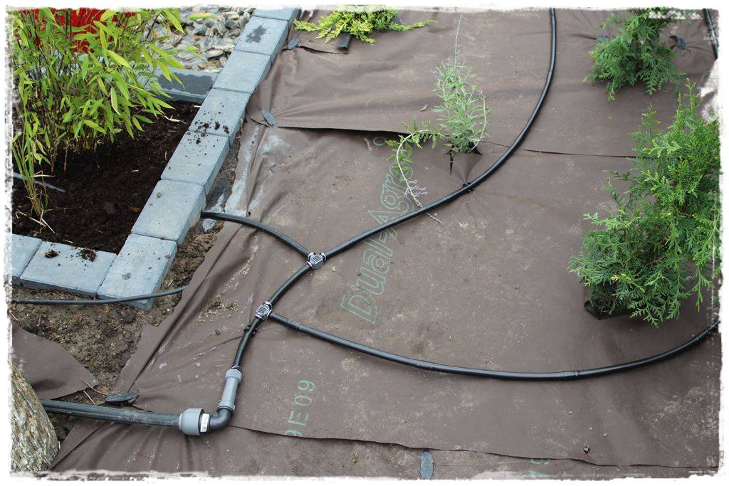 Jak zapobiec suszy 29 Jak zapobiec suszy 29