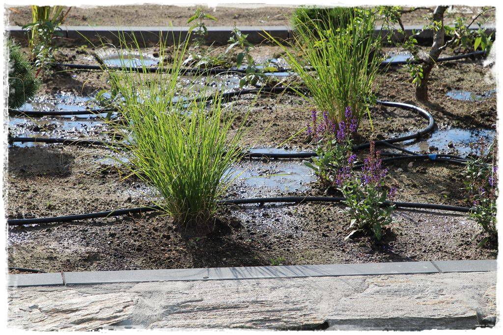 Jak zapobiec suszy 30 Jak zapobiec suszy 30