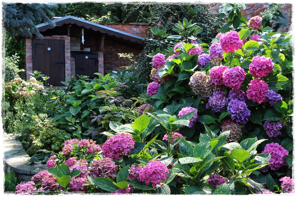 Jak zapobiec suszy 35 Jak zapobiec suszy 35