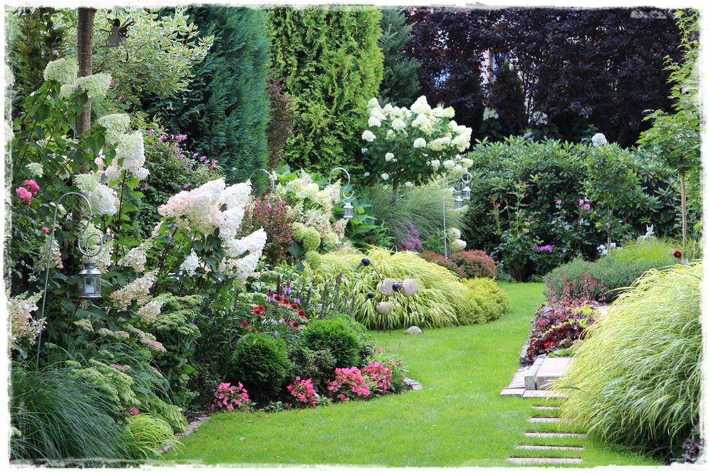 Jak zapobiec suszy 37 Jak zapobiec suszy 37