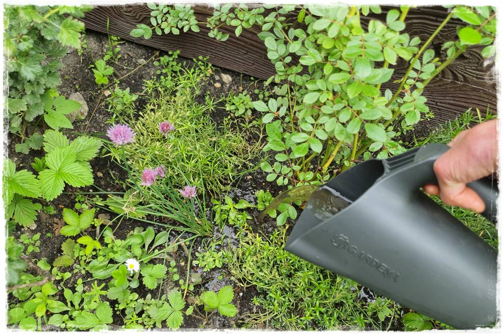 Jak zapobiec suszy 51 Jak zapobiec suszy 51