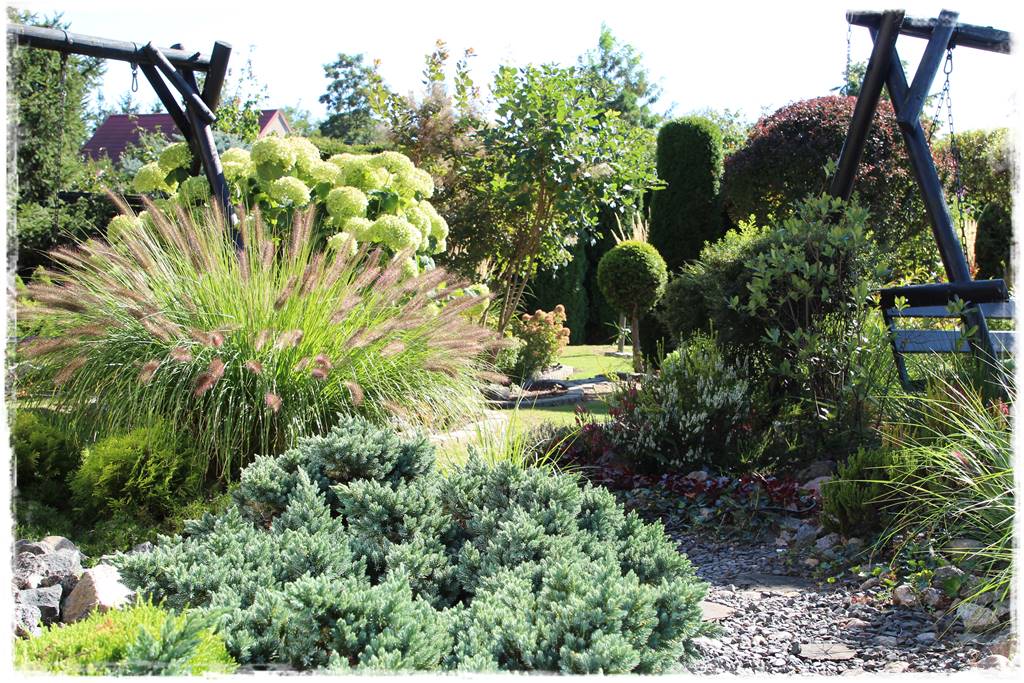 Jak zapobiec suszy 6 Jak zapobiec suszy 6