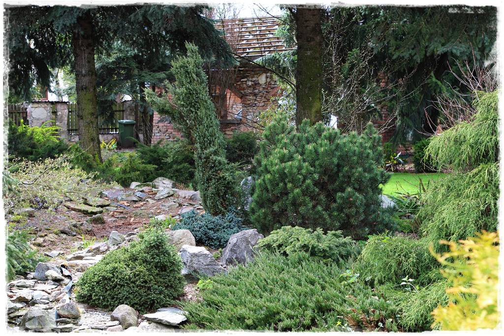 Jak zapobiec suszy 7 Jak zapobiec suszy 7