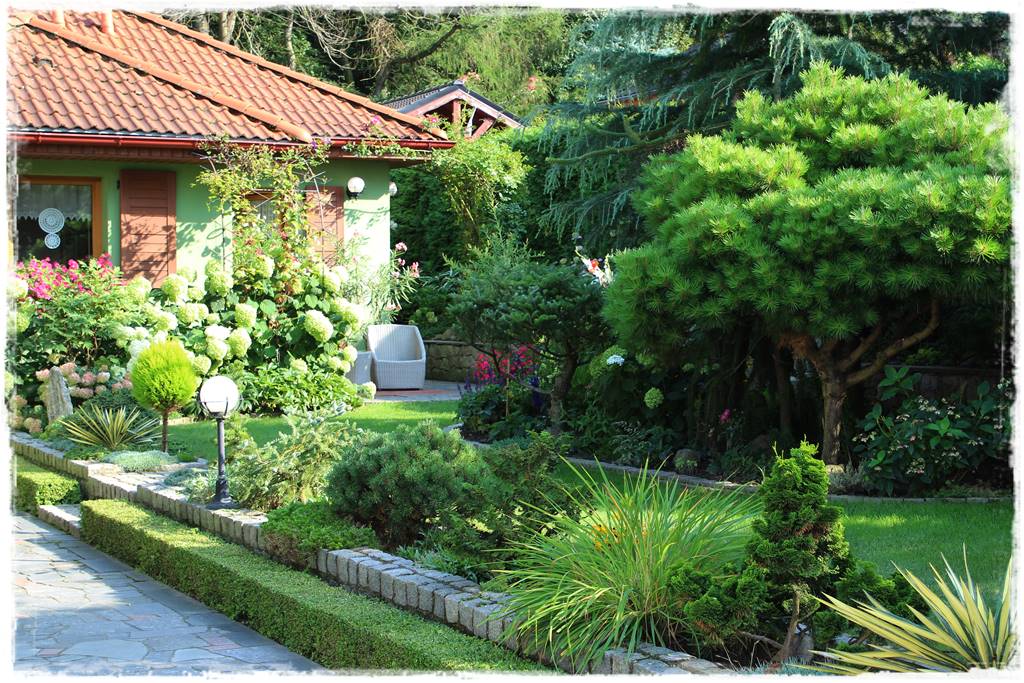 Jak zapobiec suszy 8 Jak zapobiec suszy 8