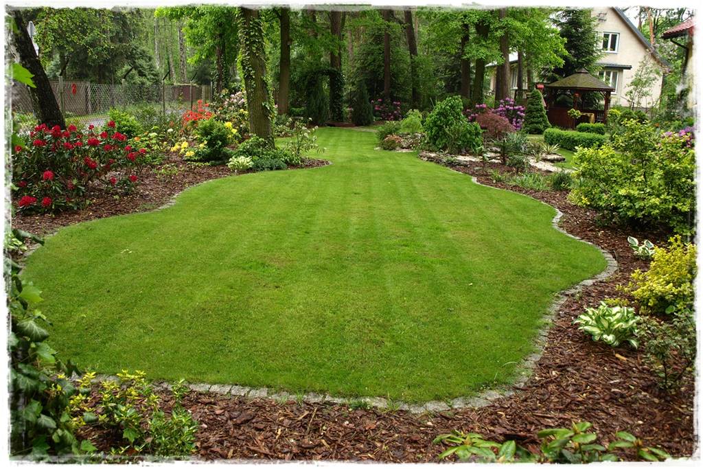 Jaki robot koszący do 1000m2 2