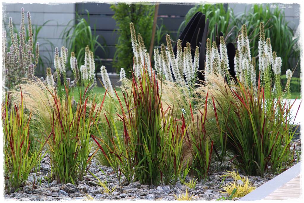 Kora kamienna w ogrodzie 39 Kora kamienna w ogrodzie 39