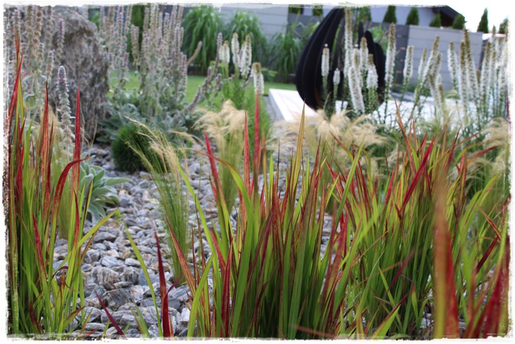 Kora kamienna w ogrodzie 40 Kora kamienna w ogrodzie 40