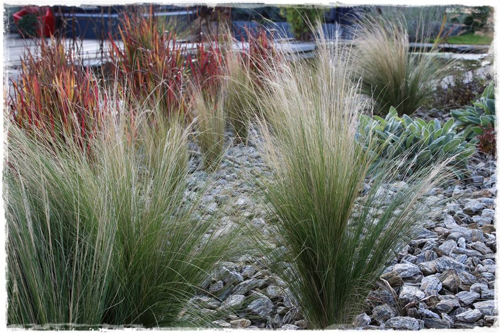 Kora kamienna w ogrodzie 41 Kora kamienna w ogrodzie 41