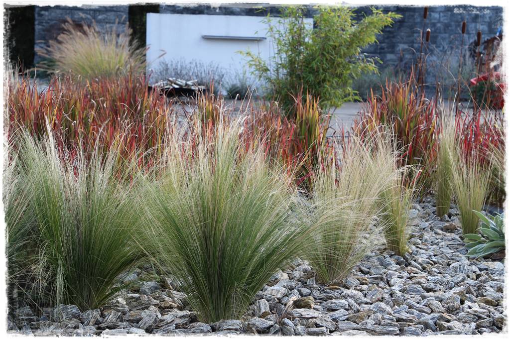 Kora kamienna w ogrodzie 42 Kora kamienna w ogrodzie 42