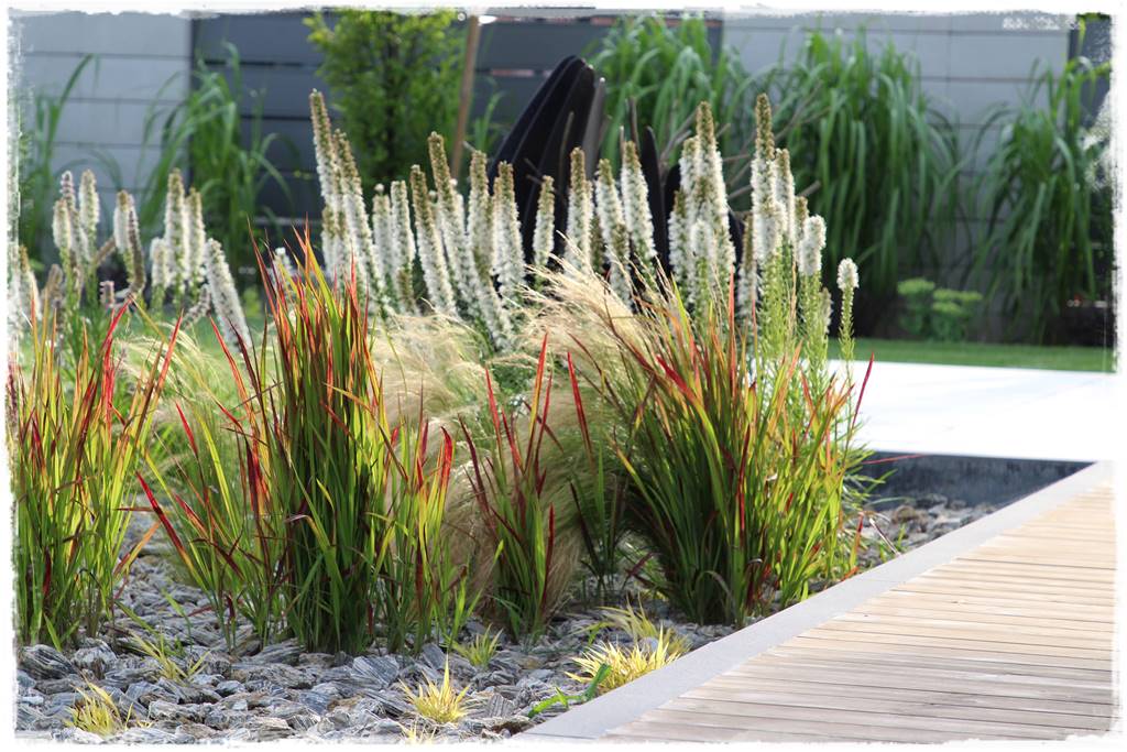 Kora kamienna w ogrodzie 8 Kora kamienna w ogrodzie 8