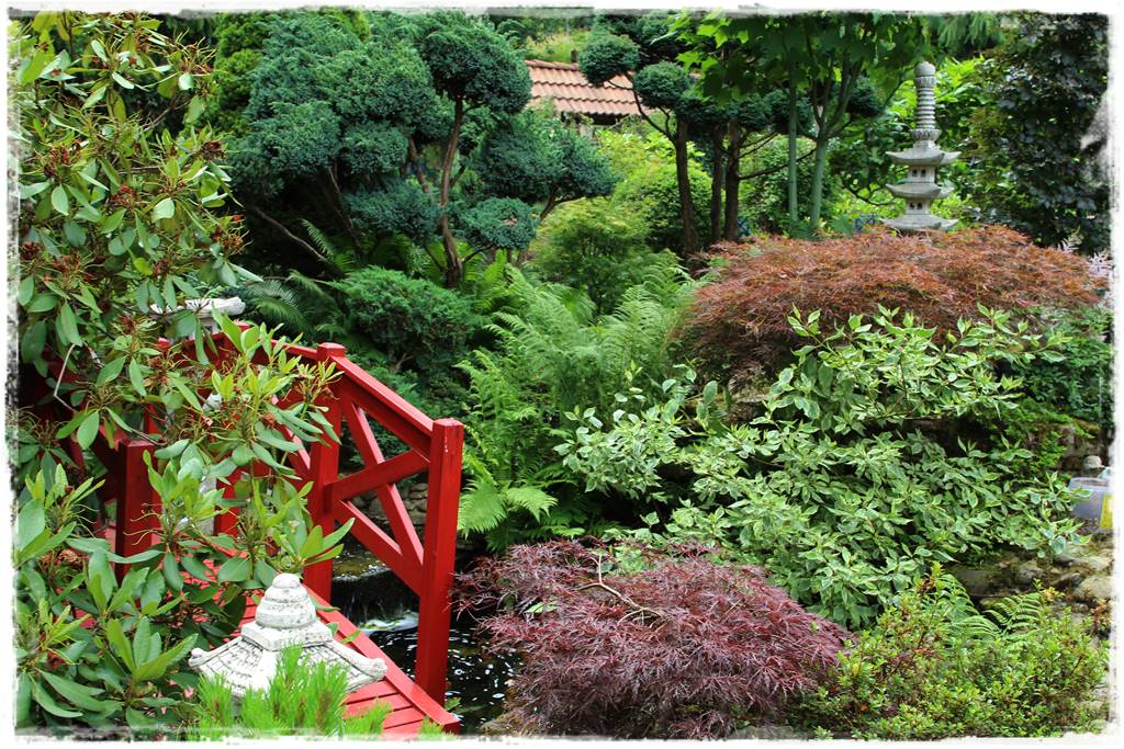 Ogród marokański 26