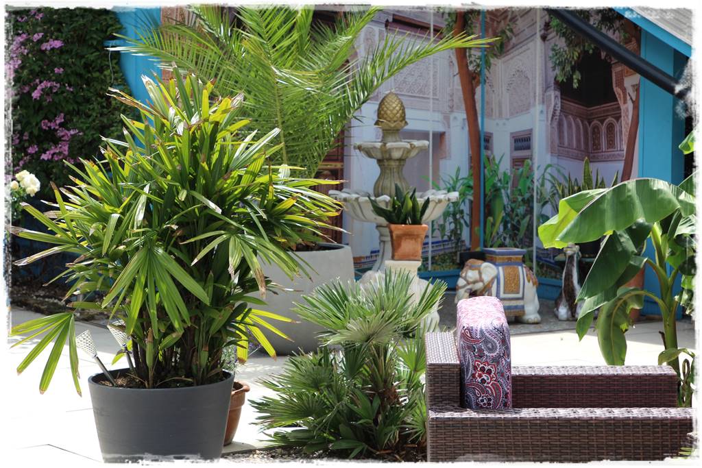 Ogród marokański 30